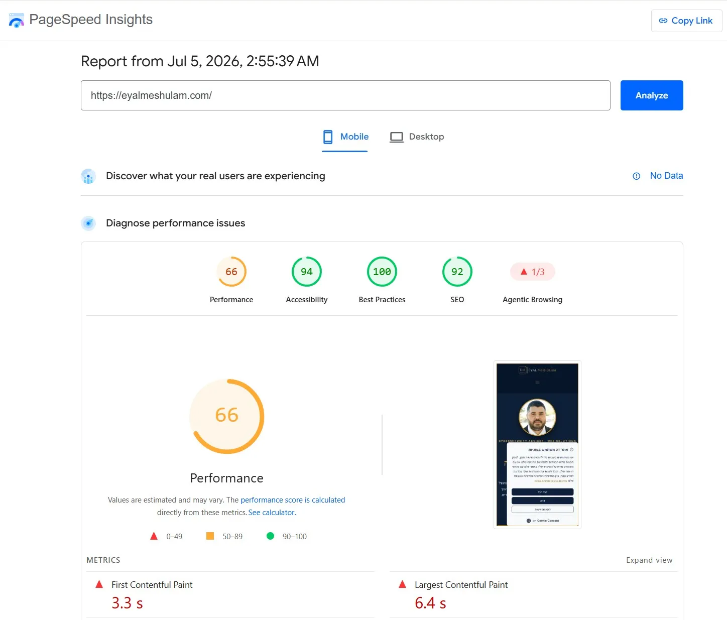 דוח PageSpeed של האתר כשהיה על וורדפרס - ציון ביצועים 66